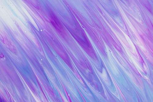 plant blue and purple wallpaper purple