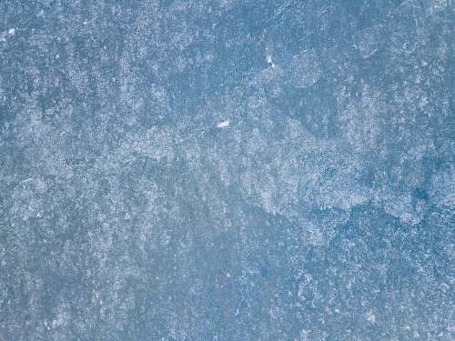 nature blue and white floral textile outdoors