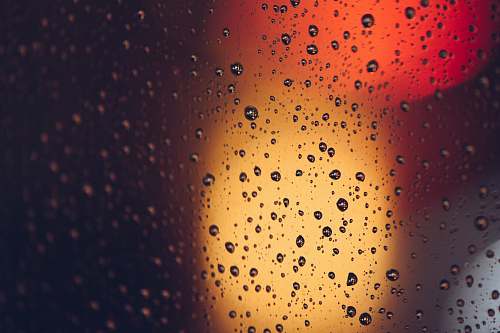 droplet bokeh photography rain