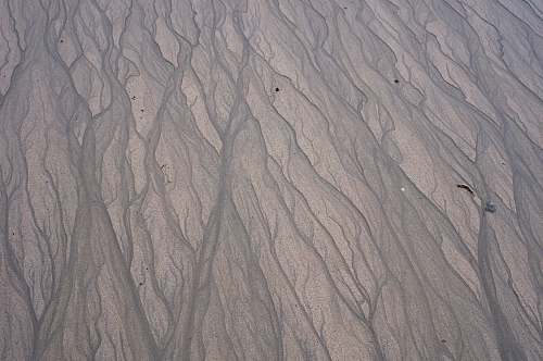 nature brown sand with footprints during daytime soil