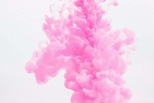 pink closeup photography of pink liquid blossom