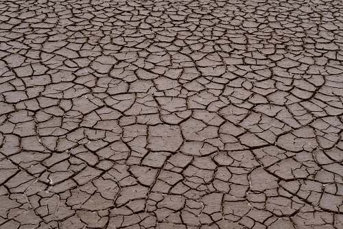 ground dried soil soil
