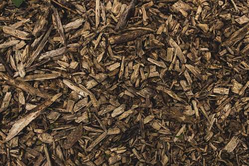 pattern firewood lot background