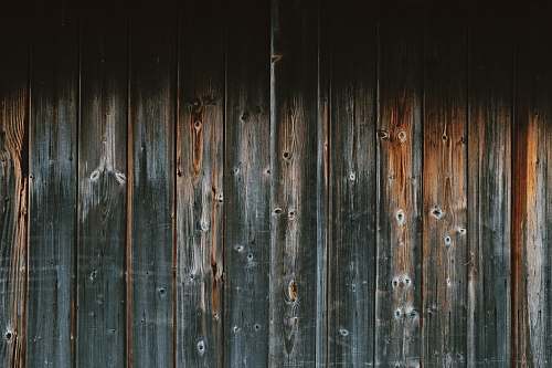 wood gray and brown wooden plank lake district national park