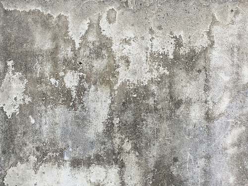 grey gray concrete surface wall
