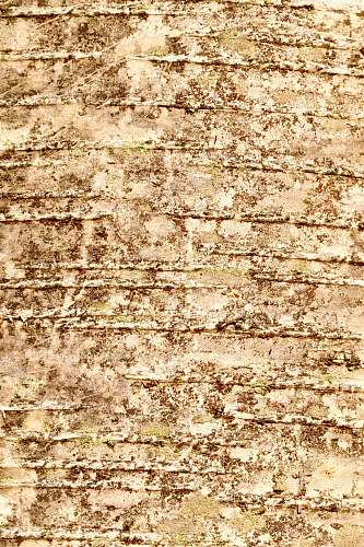 rug gray concrete wall during daytime wall