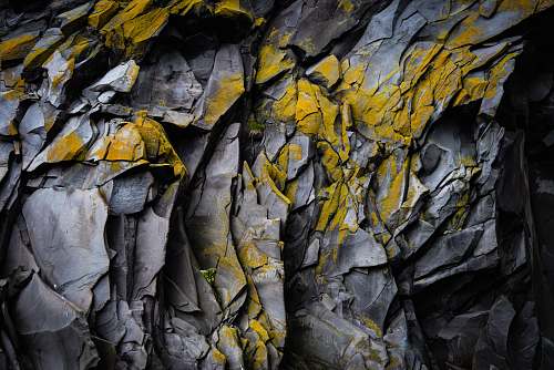 nature gray concrete wall sea life