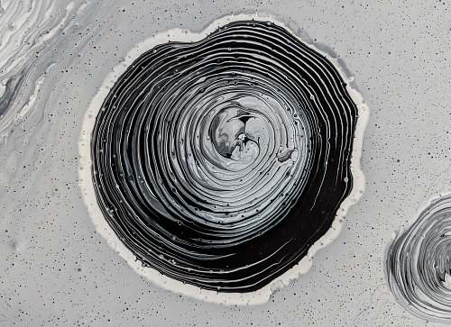 abstract grayscale photography of mud water