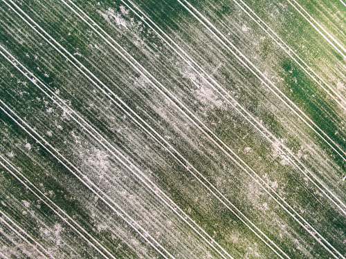 nature green and white wooden surface damvant