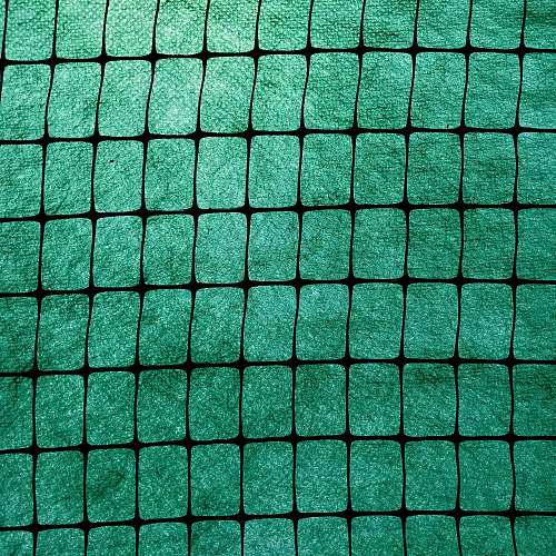 rug green metal fence during daytime wall