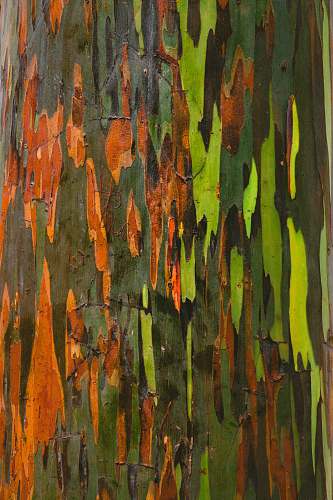 pattern green, orange, and black abstract painting background
