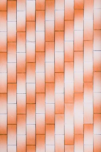 plant orange and white blocks wallpaper leaf