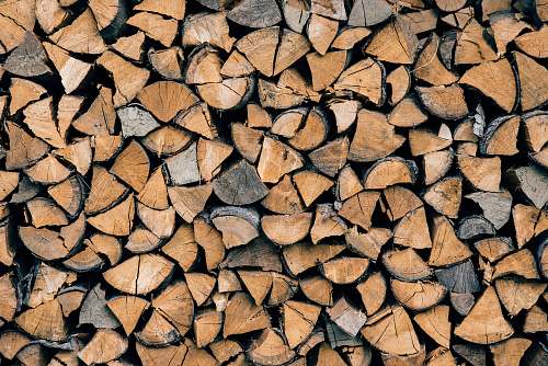 pile pile of brown firewood tree