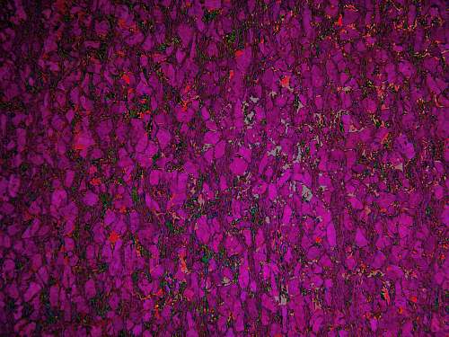 light purple and pink textile purple