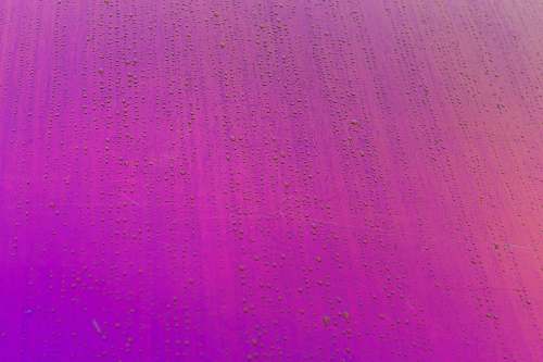 pink purple textile with black background magenta