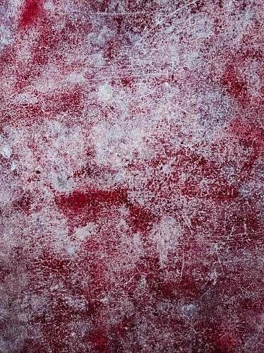 rug red and white abstract artwork nature
