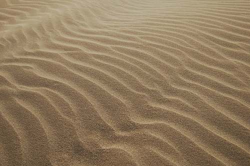 sand sand dunes during daytime outdoors
