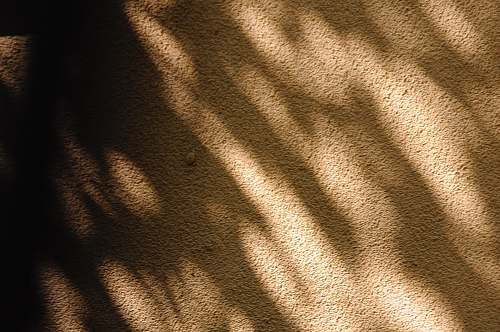 soil shadow on brown carpeted floor free photos