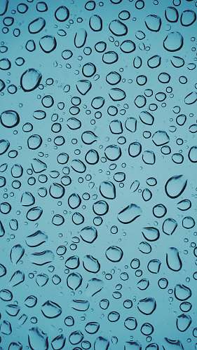 jar water droplets plant