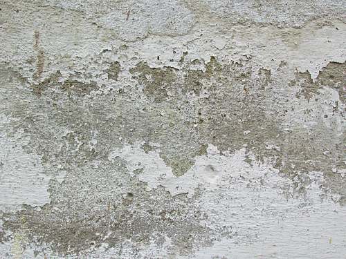 grey white and brown area rug concrete