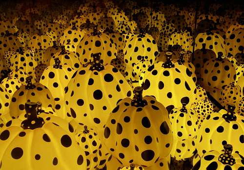 animal yellow-and-black olak-dot pumpkins bee