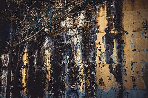 birch black and brown abstract painting flora