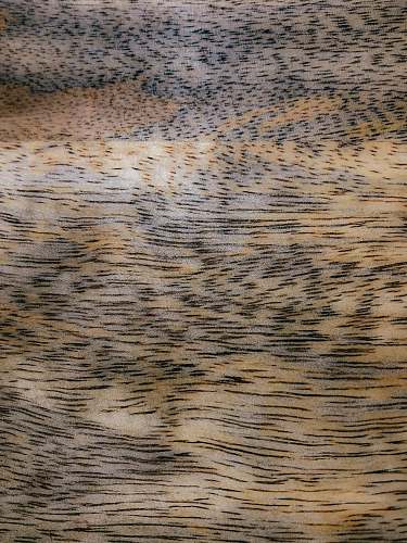 hardwood  rug