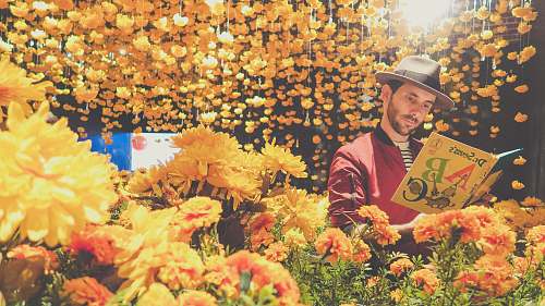  man reading book near yellow flowers 