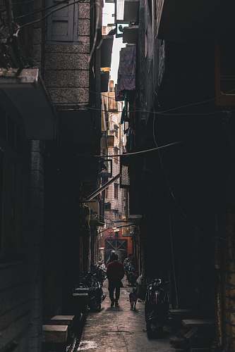 city man walking beside dog between buildings street