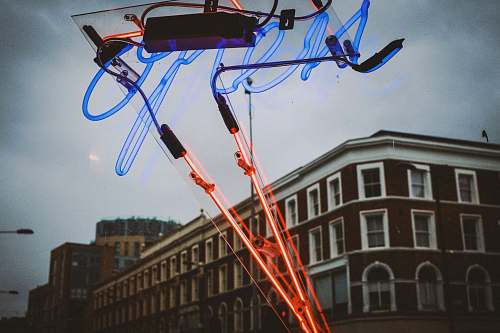 bird time lapse photography of red and blue lights strap