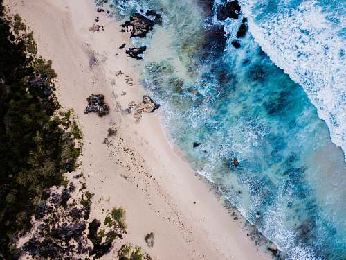 outdoors coastline near green trees sand