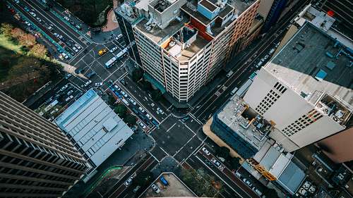 city aerial photograph of high-rise building cars