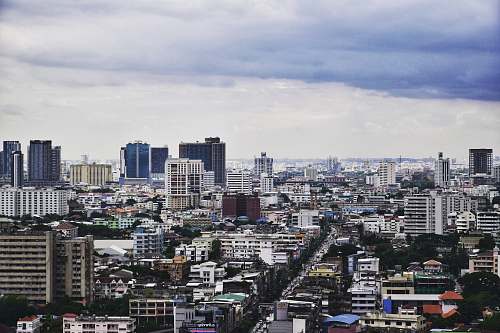 city aerial photography of city buildings urban