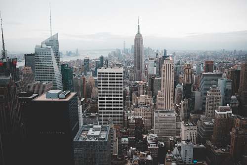 city aerial photography of concrete buildings at daytime new york city