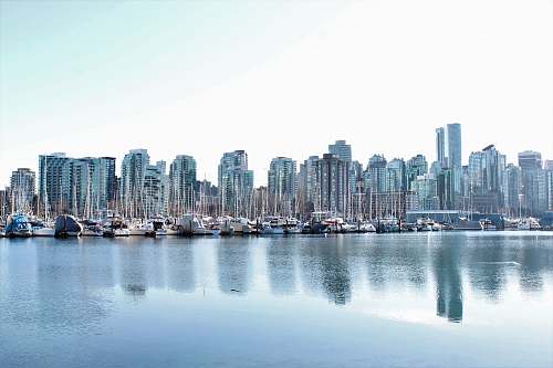 city body of water near high buildings at daytime town