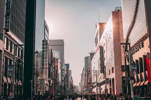 city brown and black concrete building photography urban