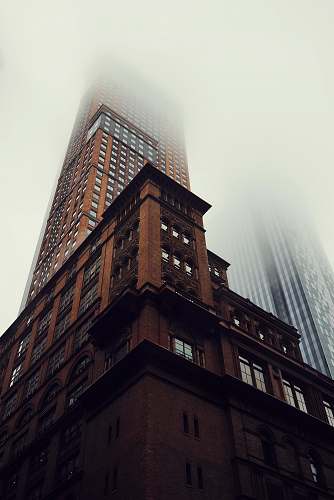 city brown building half-covered with fog new york