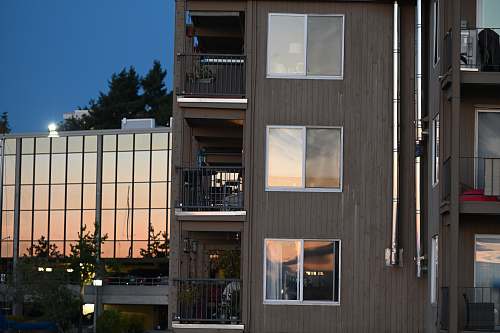 city brown wooden house beside plant high rise