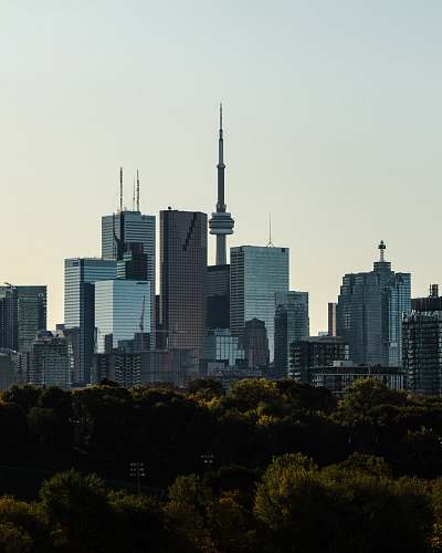 city city buildings during daytime metropolis