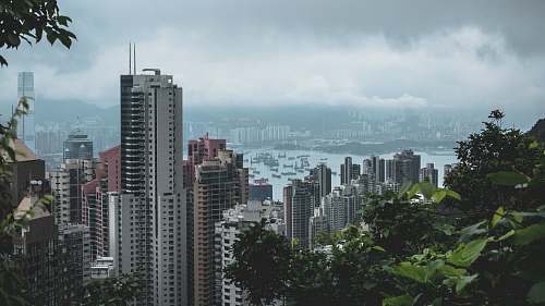 city city during day high rise