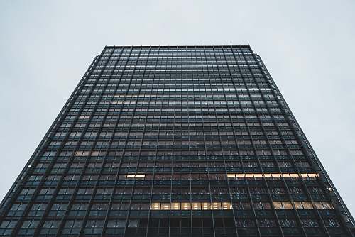 city close-up photography of high-rise building office building