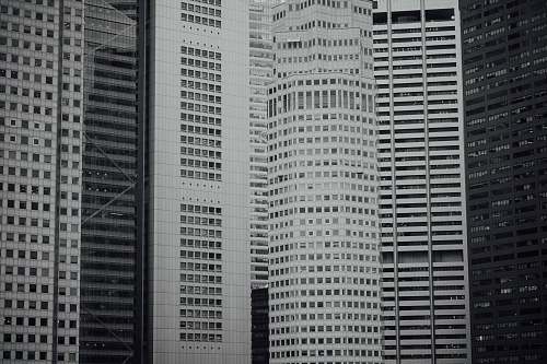 city grayscale photo of buildings black-and-white