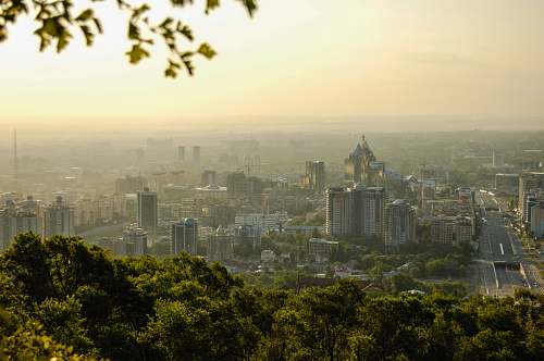 city high rise buildings beside green trees during daytime nature