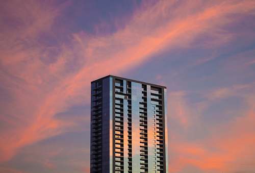 housing landscape photography of building austin