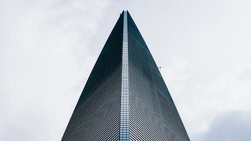 city low angle photo of curtain glass wall building high rise
