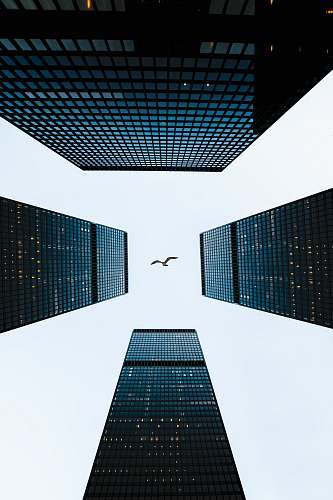 city low-angle photography of buildings in the city high rise
