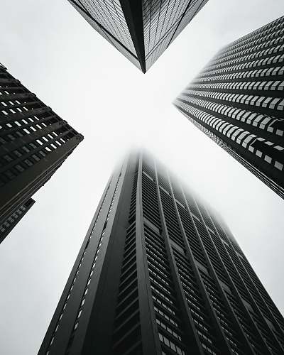 town low angle photography of four high-rise buildings black-and-white