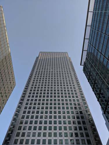 urban low-angle photography of white glass building under calm blue sky office building