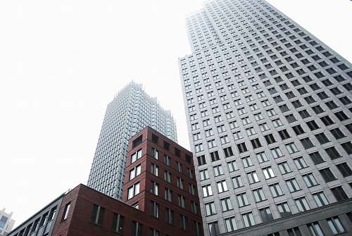 city low angle view photography o high rise buildings office building