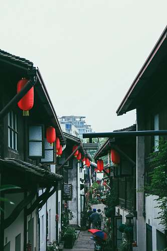 city pathway between houses road